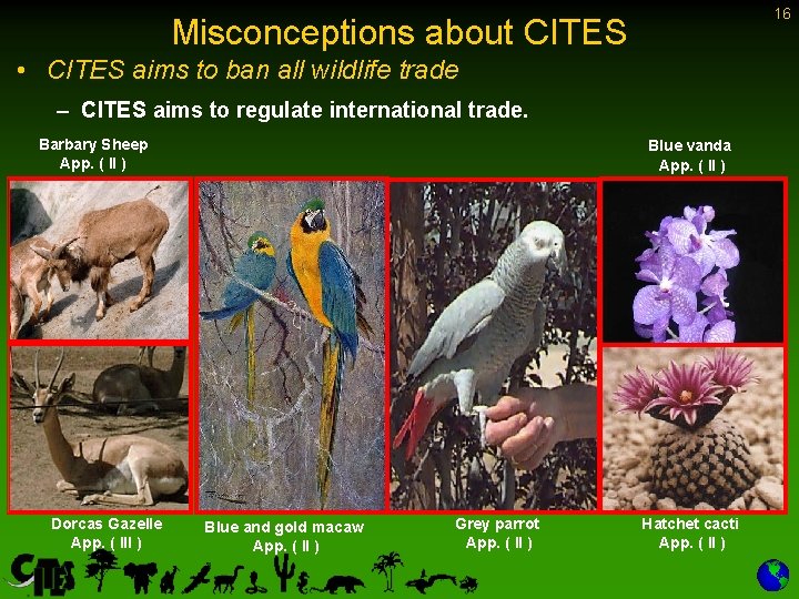 16 Misconceptions about CITES • CITES aims to ban all wildlife trade – CITES