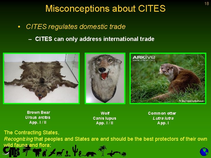 Misconceptions about CITES 18 • CITES regulates domestic trade – CITES can only address