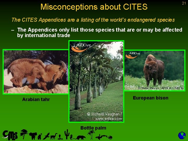 Misconceptions about CITES 21 The CITES Appendices are a listing of the world’s endangered