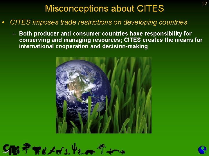 Misconceptions about CITES 22 • CITES imposes trade restrictions on developing countries – Both