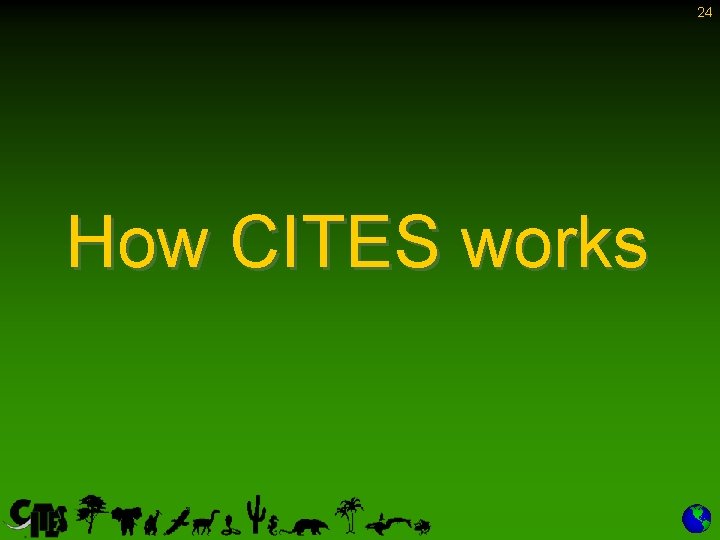 24 How CITES works 