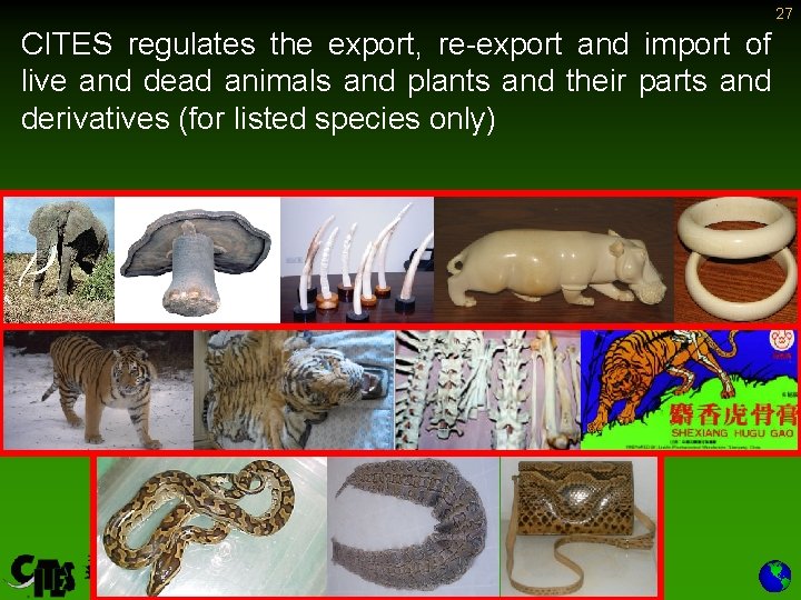 27 CITES regulates the export, re-export and import of live and dead animals and