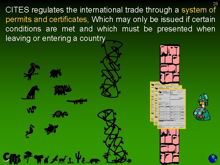 28 CITES regulates the international trade through a system of permits and certificates, Which