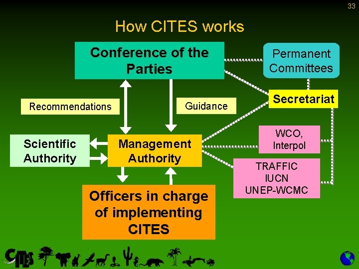 33 How CITES works Conference of the Parties Recommendations Scientific Authority Guidance Management Authority