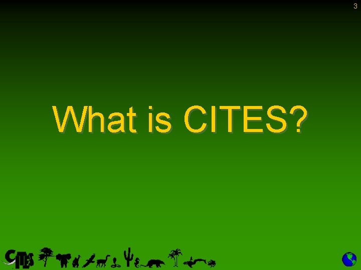 3 What is CITES? 