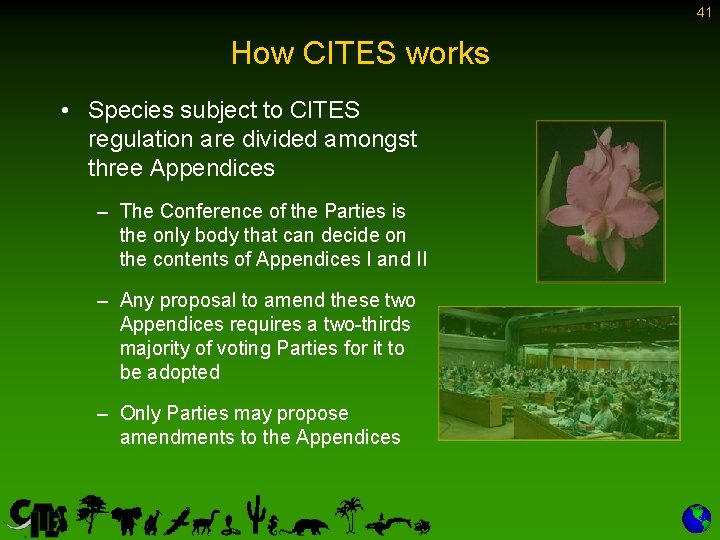 41 How CITES works • Species subject to CITES regulation are divided amongst three