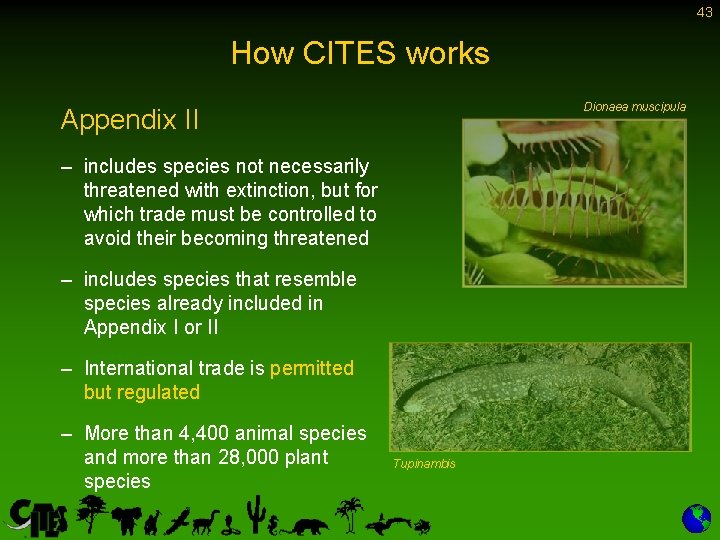 43 How CITES works Dionaea muscipula Appendix II – includes species not necessarily threatened