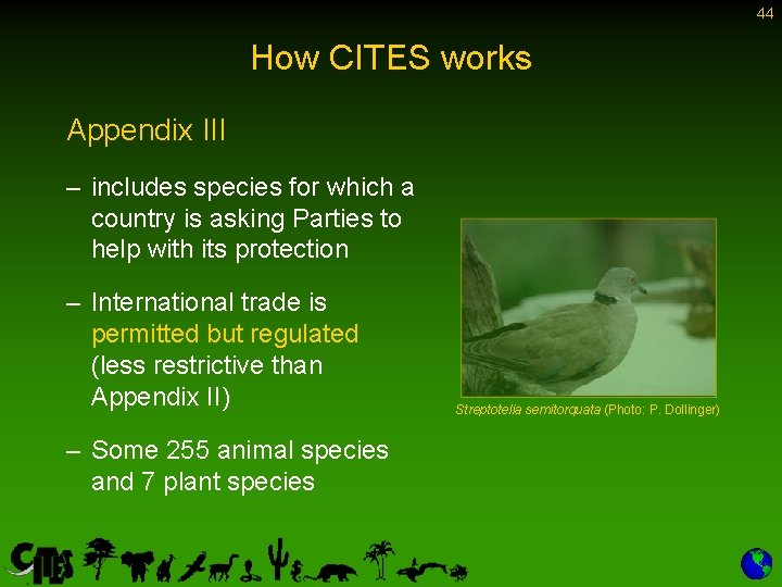 44 How CITES works Appendix III – includes species for which a country is