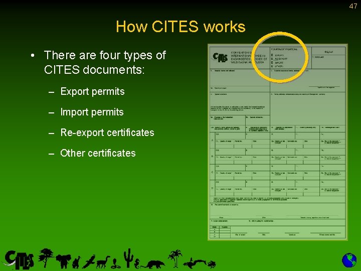 47 How CITES works • There are four types of CITES documents: – Export