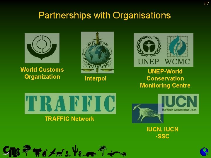 57 Partnerships with Organisations World Customs Organization Interpol UNEP-World Conservation Monitoring Centre TRAFFIC Network
