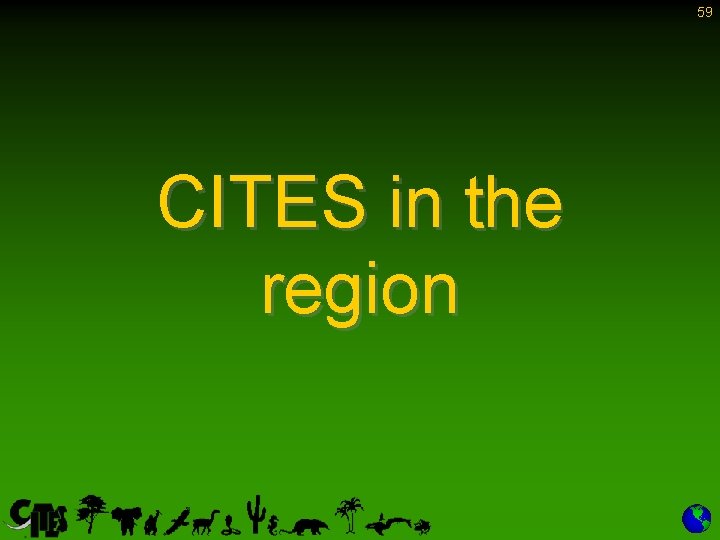 59 CITES in the region 