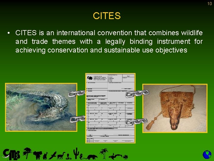 10 CITES • CITES is an international convention that combines wildlife and trade themes