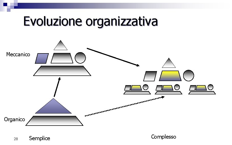 Evoluzione organizzativa Meccanico Organico 28 Semplice Complesso 