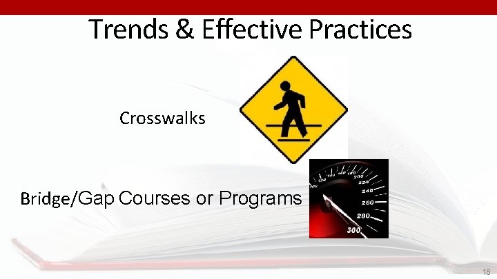 Trends & Effective Practices Crosswalks Bridge/Gap Courses or Programs 18 