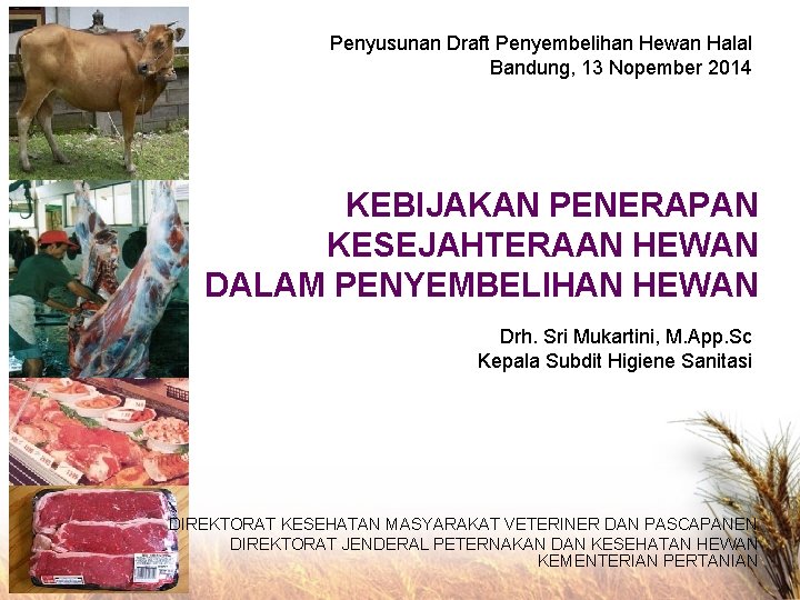 Penyusunan Draft Penyembelihan Hewan Halal Bandung, 13 Nopember 2014 KEBIJAKAN PENERAPAN KESEJAHTERAAN HEWAN DALAM