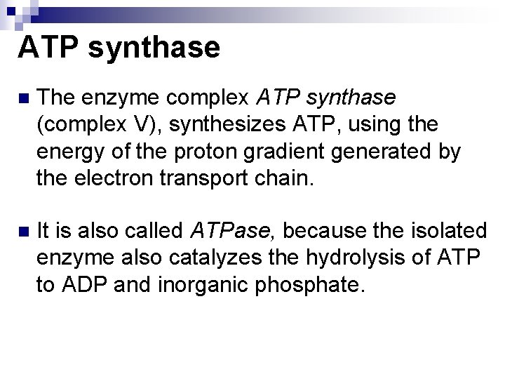 ATP synthase n The enzyme complex ATP synthase (complex V), synthesizes ATP, using the