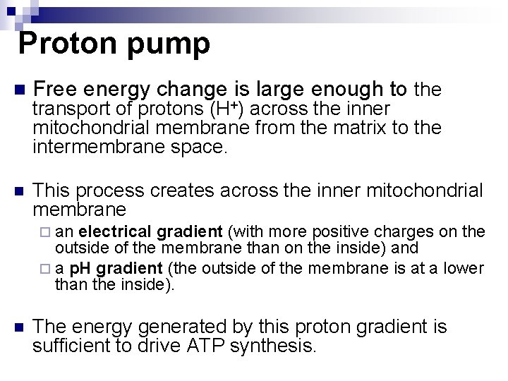 Proton pump n Free energy change is large enough to the n This process