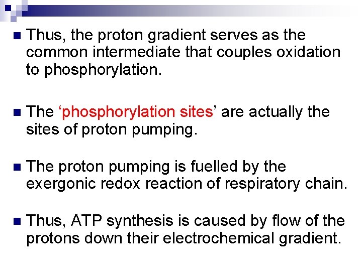 n Thus, the proton gradient serves as the common intermediate that couples oxidation to