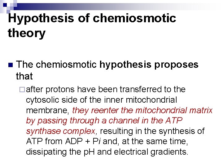 Hypothesis of chemiosmotic theory n The chemiosmotic hypothesis proposes that ¨ after protons have