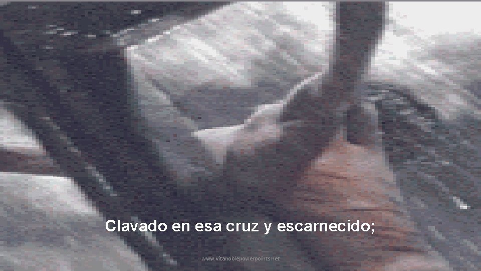 Clavado en esa cruz y escarnecido; www. vitanoblepowerpoints. net 