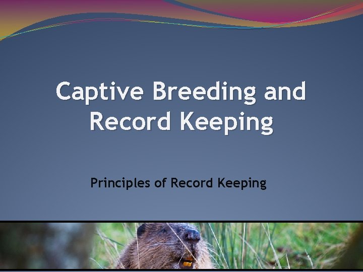 Captive Breeding and Record Keeping Principles of Record Keeping 