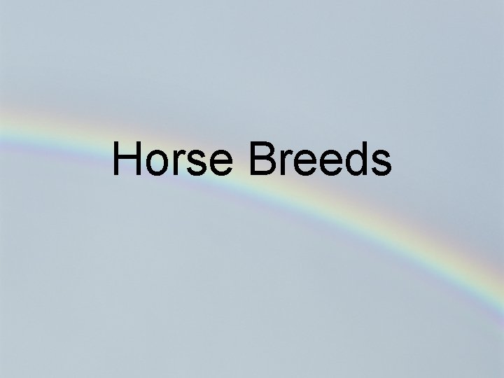 Horse Breeds 