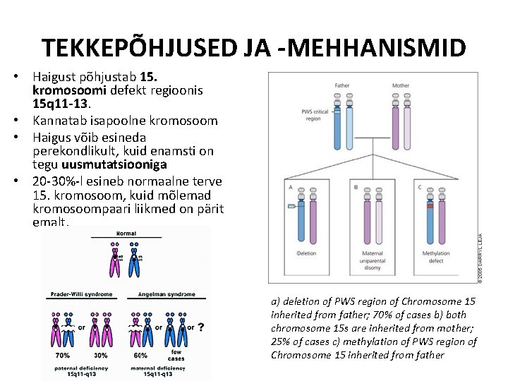TEKKEPÕHJUSED JA -MEHHANISMID • Haigust põhjustab 15. kromosoomi defekt regioonis 15 q 11 -13.