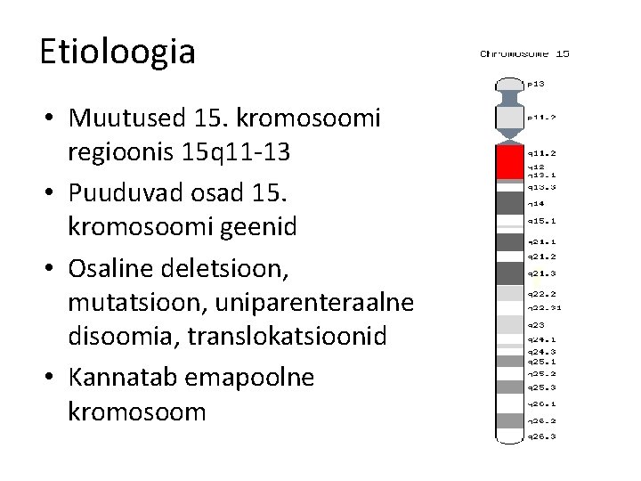 Etioloogia • Muutused 15. kromosoomi regioonis 15 q 11 -13 • Puuduvad osad 15.