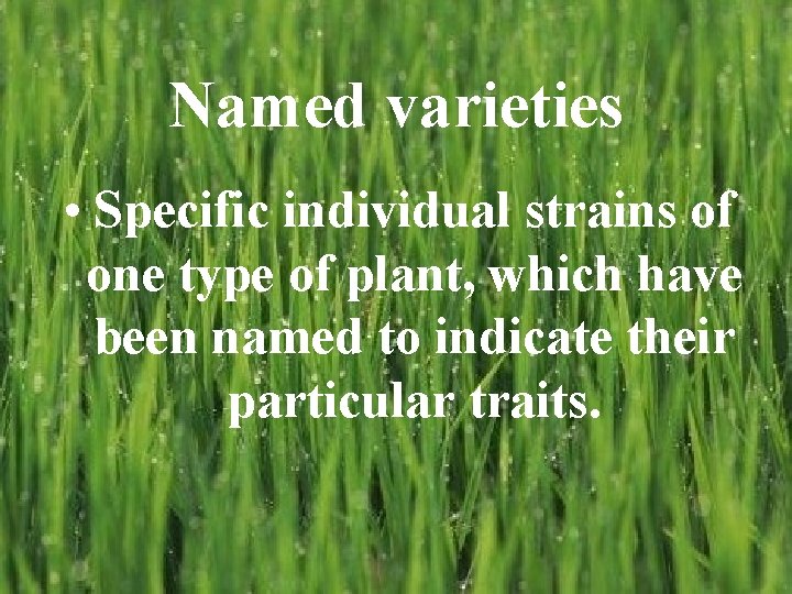 Named varieties • Specific individual strains of one type of plant, which have been Named varieties • Specific individual strains of one type of plant, which have been