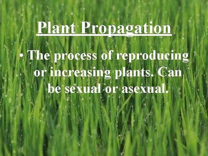 Plant Propagation • The process of reproducing or increasing plants. Can be sexual or