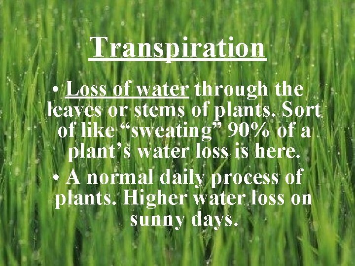 Transpiration • Loss of water through the leaves or stems of plants. Sort of Transpiration • Loss of water through the leaves or stems of plants. Sort of