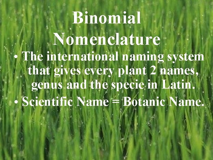 Binomial Nomenclature • The international naming system that gives every plant 2 names, genus Binomial Nomenclature • The international naming system that gives every plant 2 names, genus