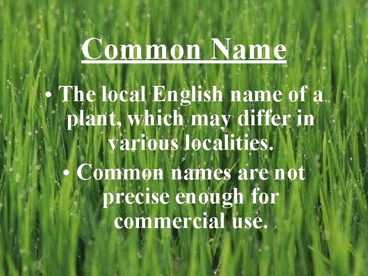 Common Name • The local English name of a plant, which may differ in Common Name • The local English name of a plant, which may differ in