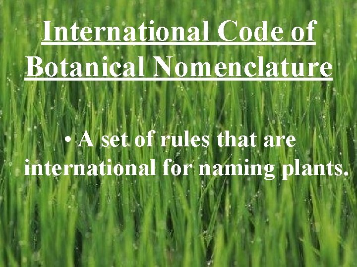 International Code of Botanical Nomenclature • A set of rules that are international for