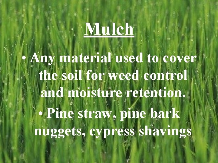 Mulch • Any material used to cover the soil for weed control and moisture