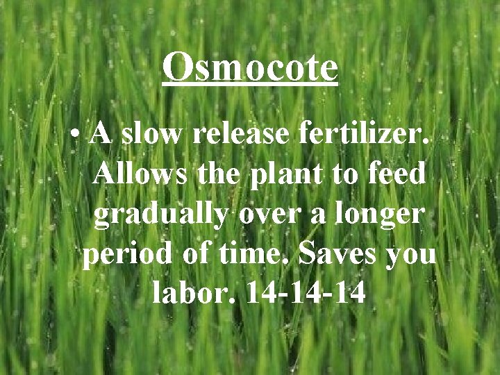 Osmocote • A slow release fertilizer. Allows the plant to feed gradually over a Osmocote • A slow release fertilizer. Allows the plant to feed gradually over a