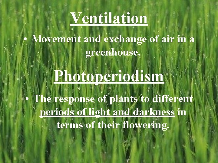 Ventilation • Movement and exchange of air in a greenhouse. Photoperiodism • The response