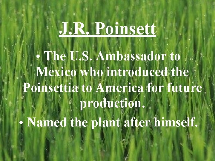 J. R. Poinsett • The U. S. Ambassador to Mexico who introduced the Poinsettia