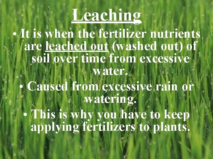 Leaching • It is when the fertilizer nutrients are leached out (washed out) of