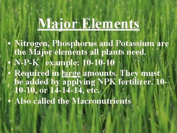 Major Elements • Nitrogen, Phosphorus and Potassium are the Major elements all plants need. Major Elements • Nitrogen, Phosphorus and Potassium are the Major elements all plants need.