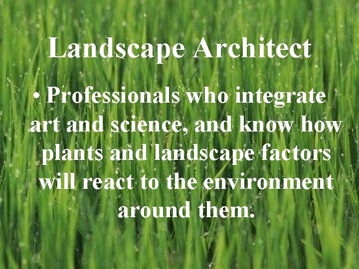 Landscape Architect • Professionals who integrate art and science, and know how plants and