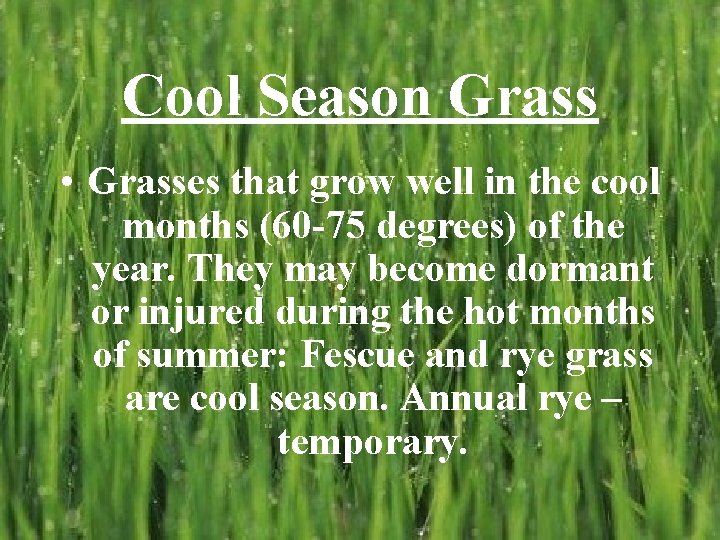 Cool Season Grass • Grasses that grow well in the cool months (60 -75 Cool Season Grass • Grasses that grow well in the cool months (60 -75