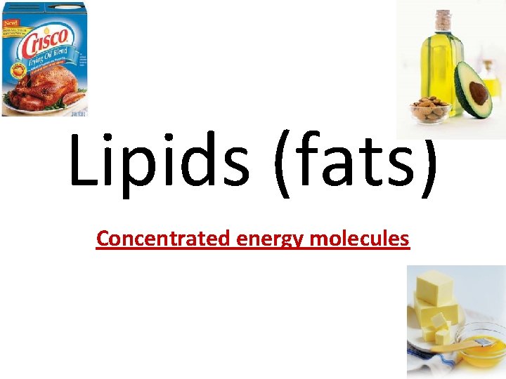 Lipids (fats) Concentrated energy molecules 