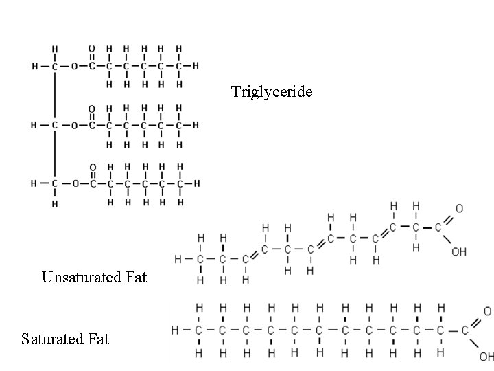 Triglyceride Unsaturated Fat Saturated Fat 2003 -2004 