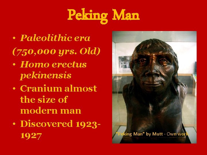 Peking Man • Paleolithic era (750, 000 yrs. Old) • Homo erectus pekinensis •