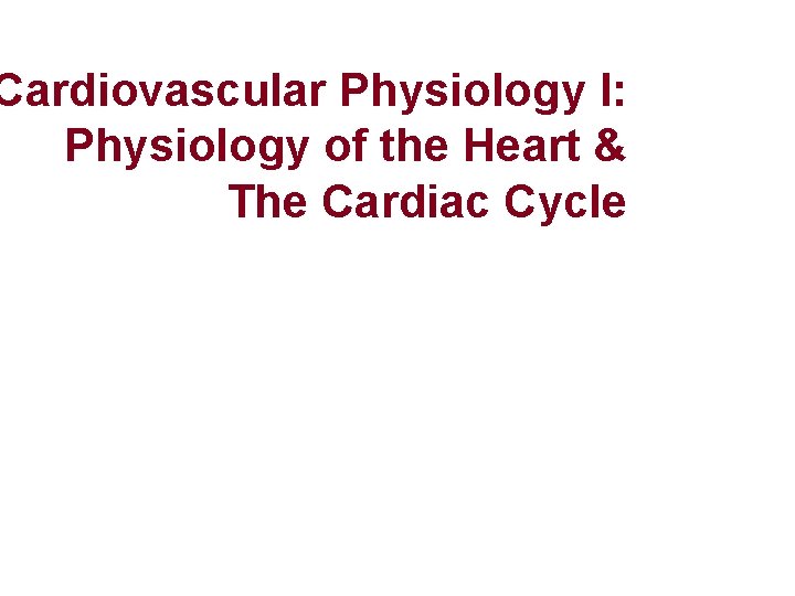 Cardiovascular Physiology I: Physiology of the Heart & The Cardiac Cycle Cardiovascular Physiology I: Physiology of the Heart & The Cardiac Cycle