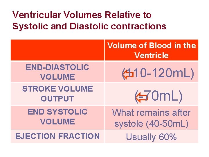 Ventricular Volumes Relative to Systolic and Diastolic contractions Volume of Blood in the Ventricle Ventricular Volumes Relative to Systolic and Diastolic contractions Volume of Blood in the Ventricle