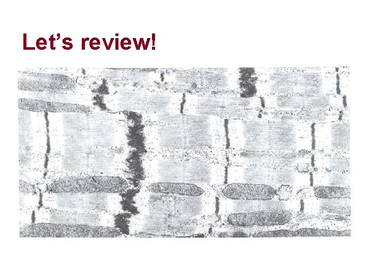 Let’s review! Let’s review!