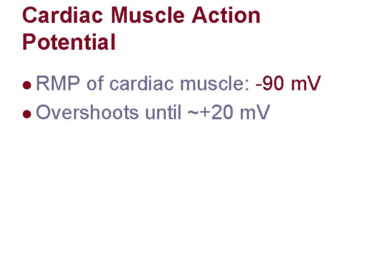 Cardiac Muscle Action Potential l RMP of cardiac muscle: -90 m. V l Overshoots Cardiac Muscle Action Potential l RMP of cardiac muscle: -90 m. V l Overshoots