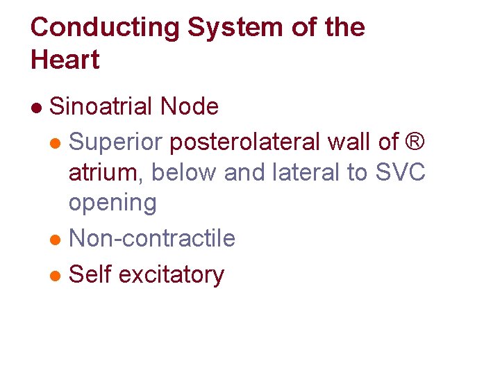 Conducting System of the Heart l Sinoatrial Node l Superior posterolateral wall of ® Conducting System of the Heart l Sinoatrial Node l Superior posterolateral wall of ®